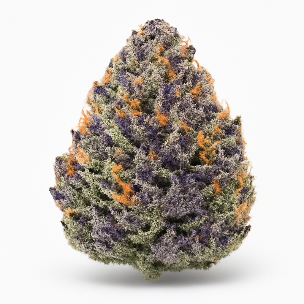 24k Gold weed strain — Hybrid cannabis flower bud