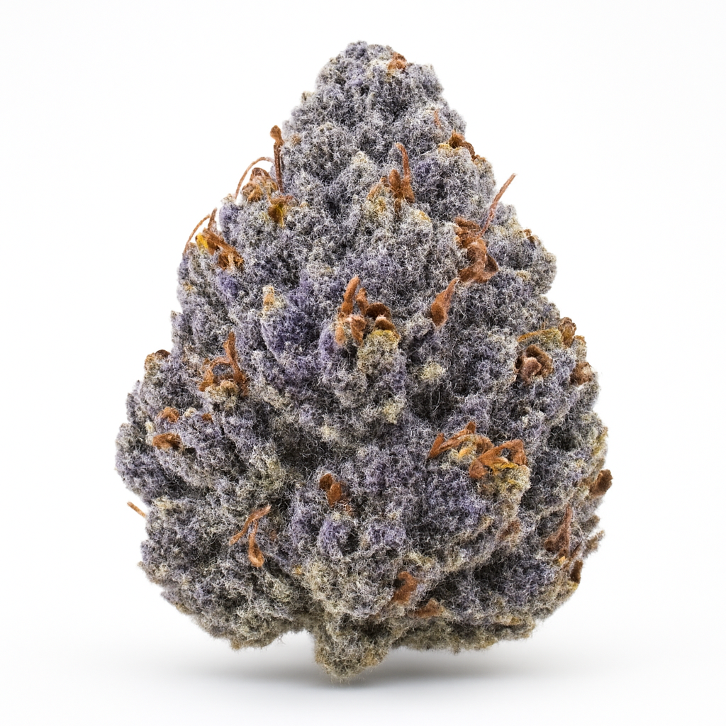 501st OG weed strain — Hybrid cannabis flower bud