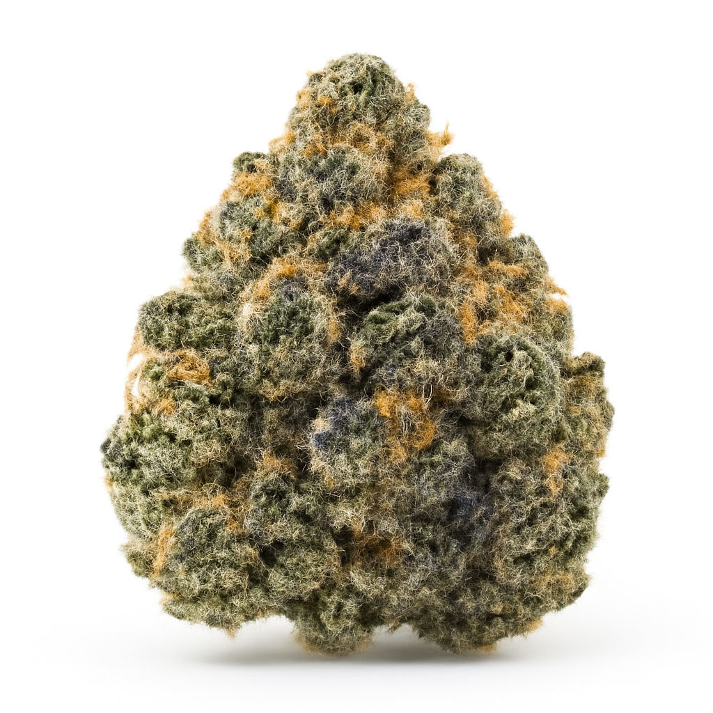 Afghan Haze weed strain — Hybrid cannabis flower bud